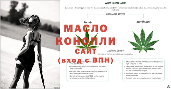 спиды Богданович