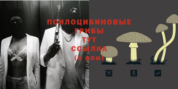меф Богородицк