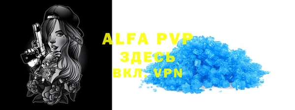 спиды Богданович