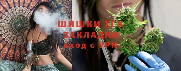 спиды Богданович