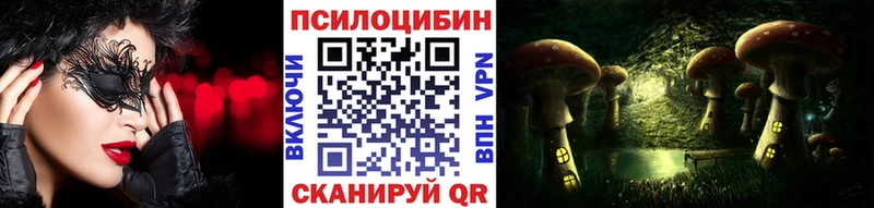 закладки  Нахабино  Псилоцибиновые грибы MAGIC MUSHROOMS 
