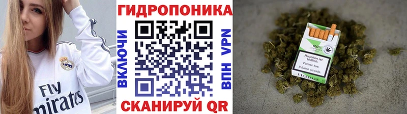 Бошки марихуана THC 21%  продажа наркотиков  Нахабино 